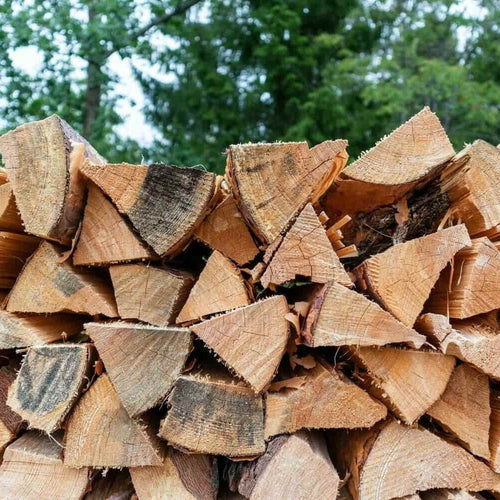 Best Types of Log for a Wood-Burning Stove
