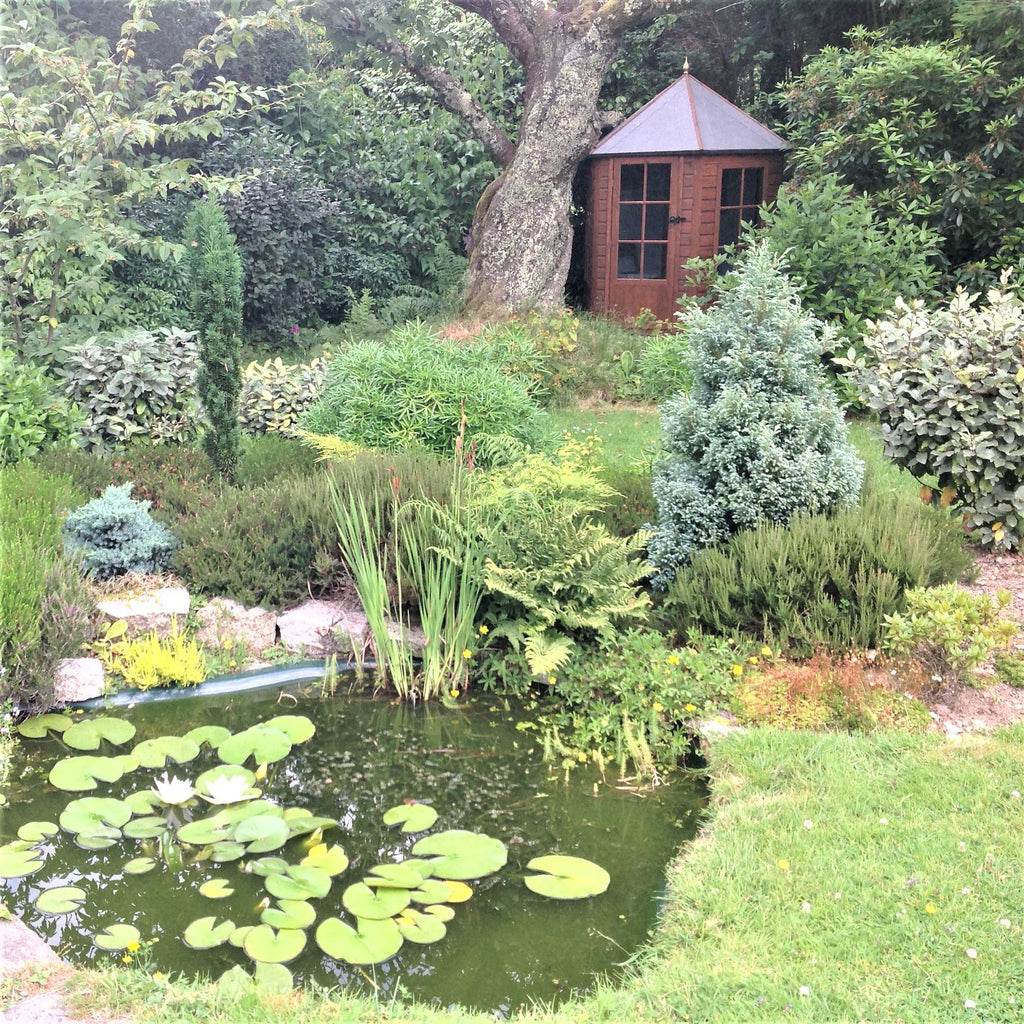 Shire Gazebo Summerhouse 7x6