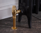 Carron Crocus manual valve in brass lockshield