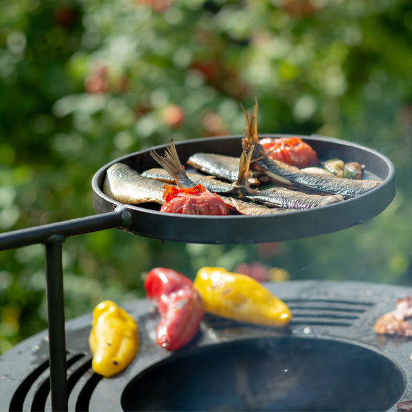 Close-up of the Sizzler warming swing arm above the BBQ ring