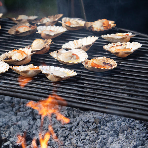 Scallops cooking on a half moon all bar rack over a fire pit