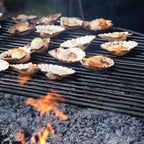 Scallops cooking on a half moon all bar rack over a fire pit