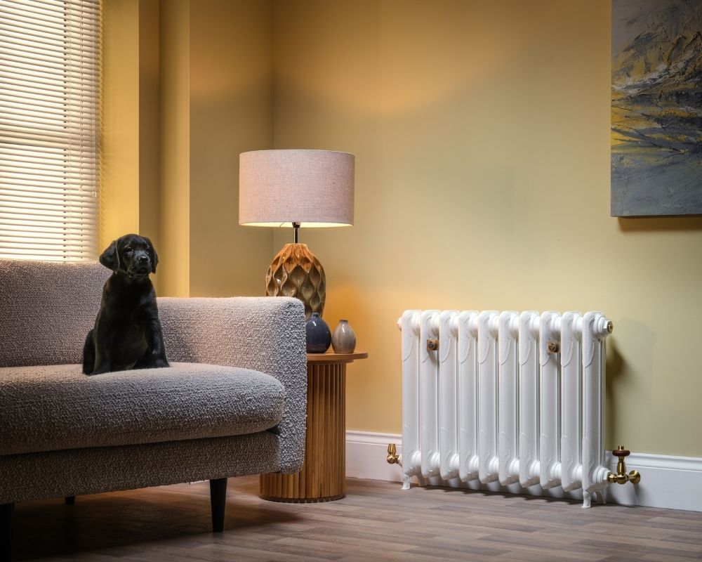 Carron Liberty 1 Column cast iron radiator, Farrow and Ball wimborne white