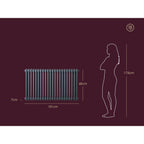 Miro Vera Column Radiator for Central Heating, Anthracite or White, image 6
