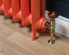 Carron Princess cast iron radiator, Farrow and Ball bisque feet